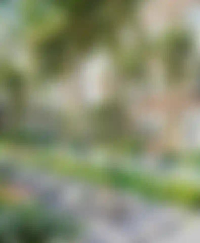 image for main block