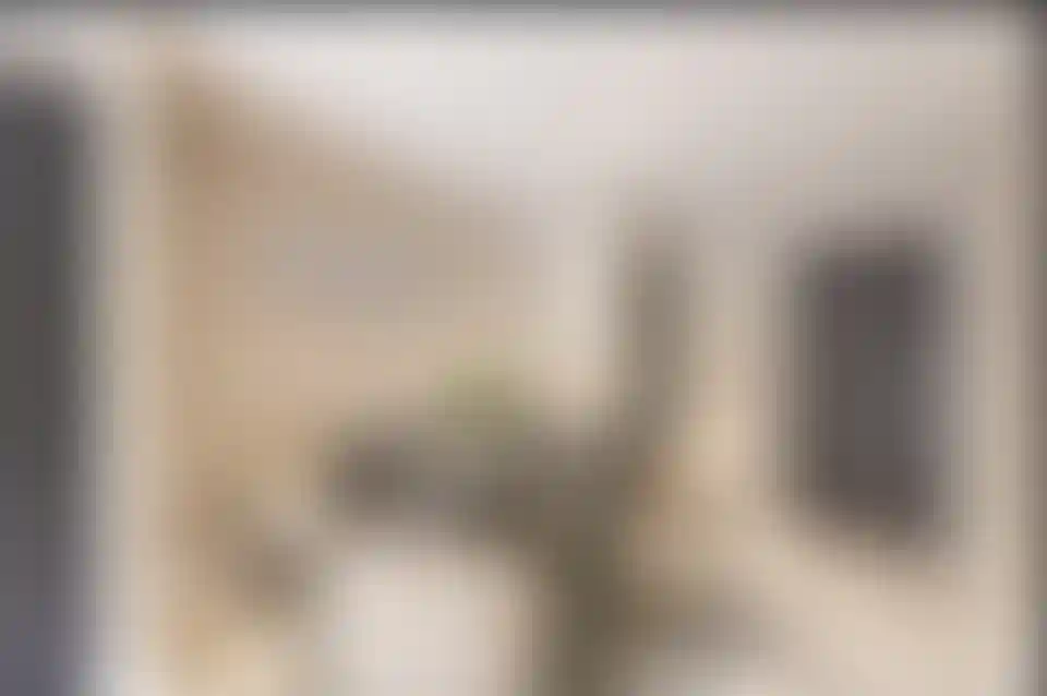 image for main block