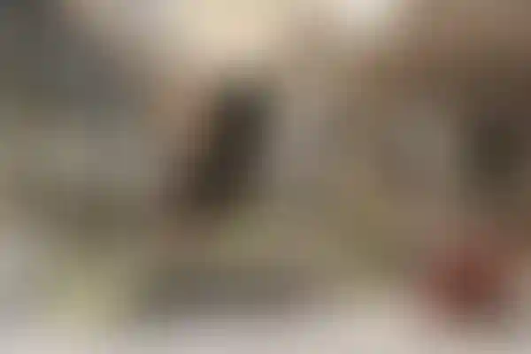 image for main block