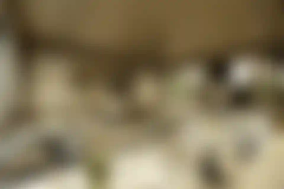 image for main block