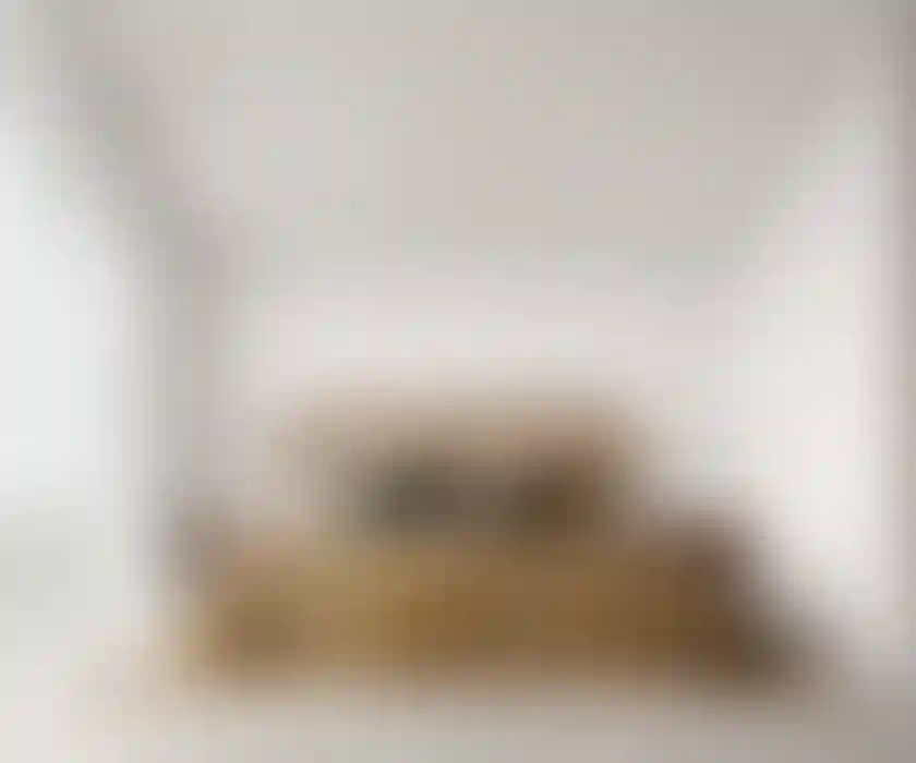 image for main block