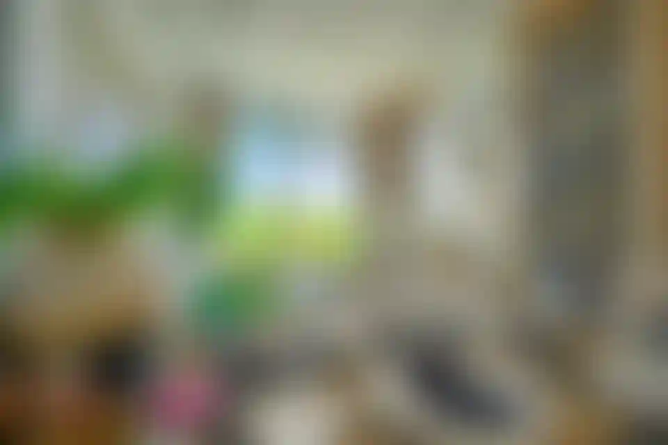 image for main block