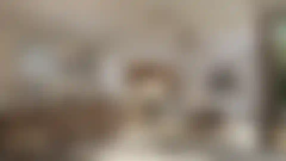 image for main block