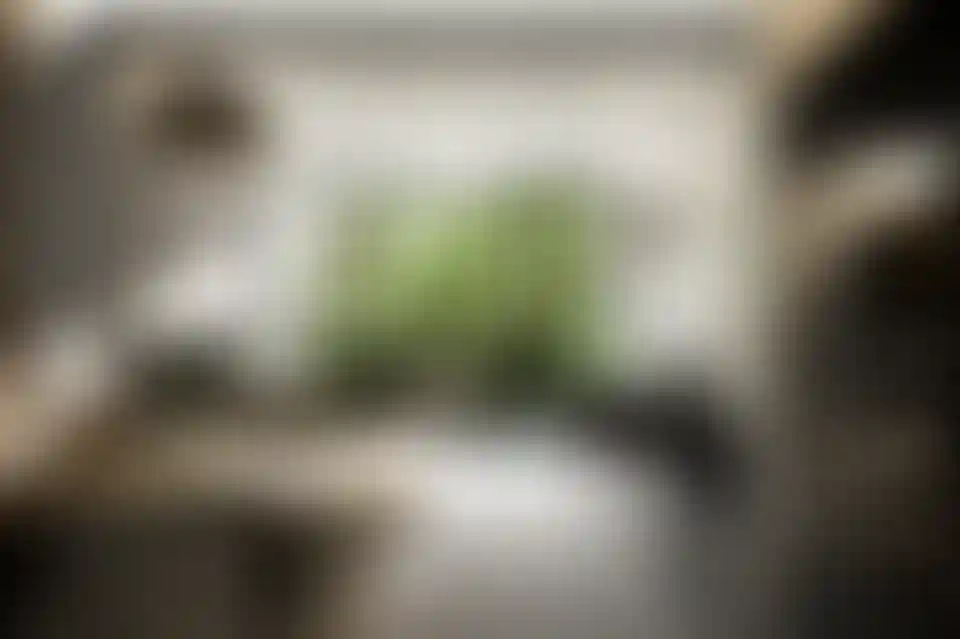 image for main block