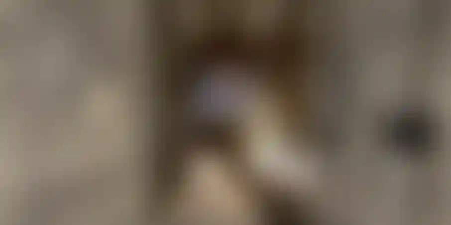 image for main block