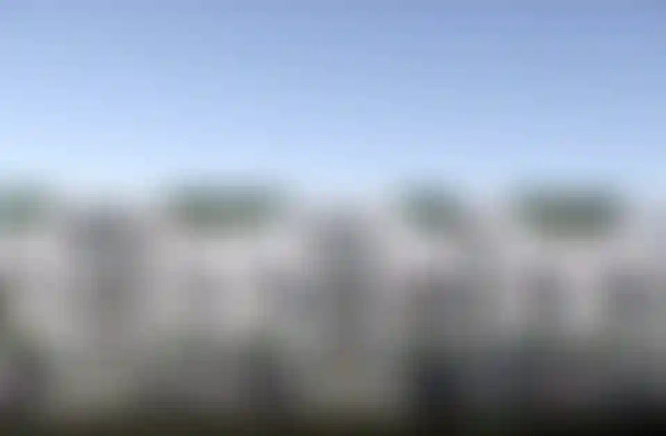 image for main block