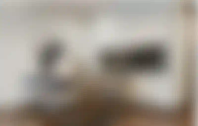 image for main block