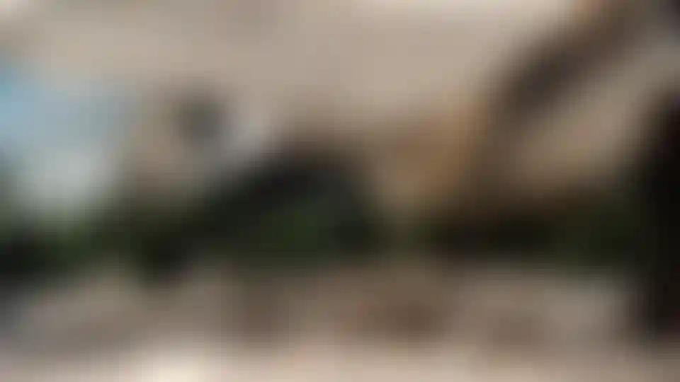 image for main block