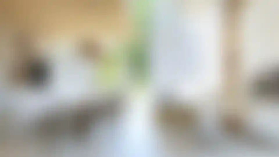 image for main block