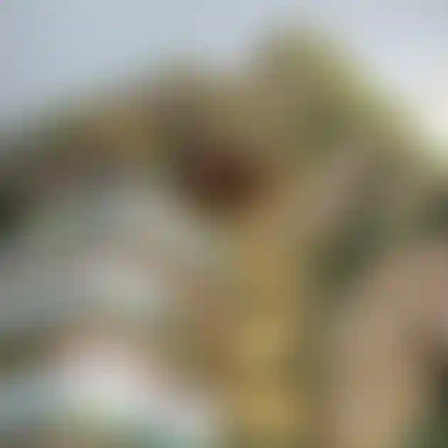 image for main block