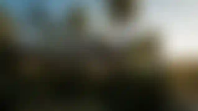 image for main block