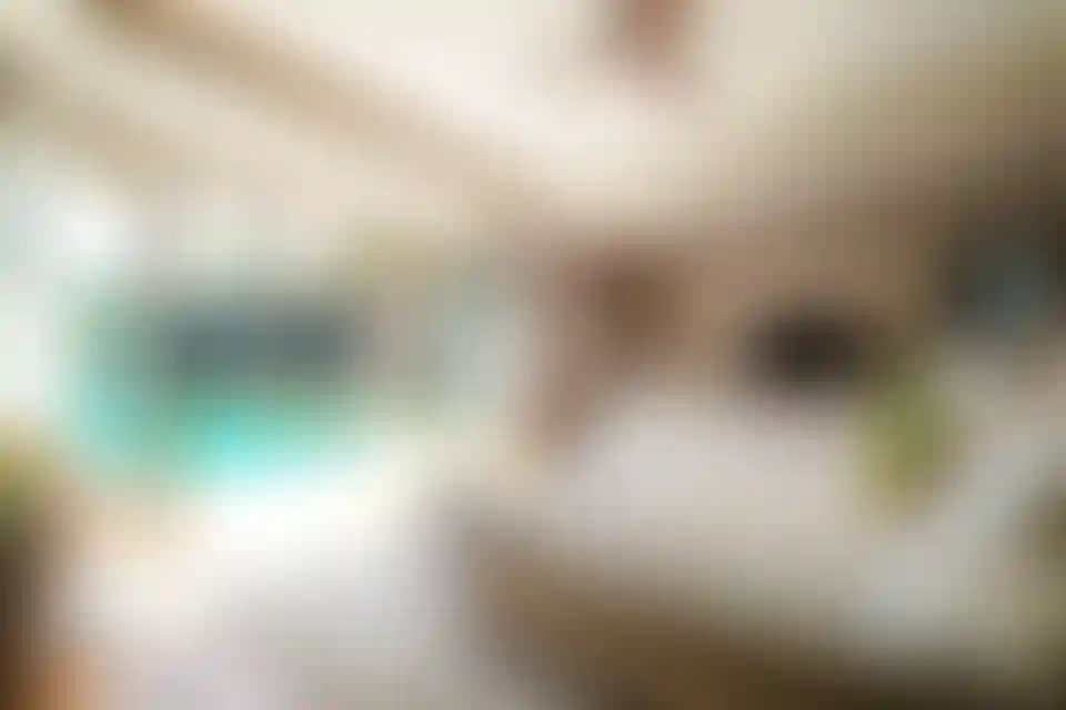 image for main block