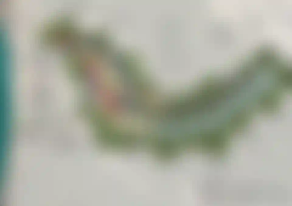 image for main block