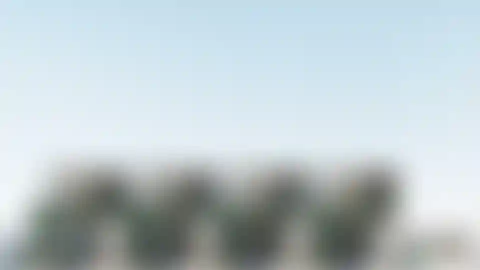 image for main block