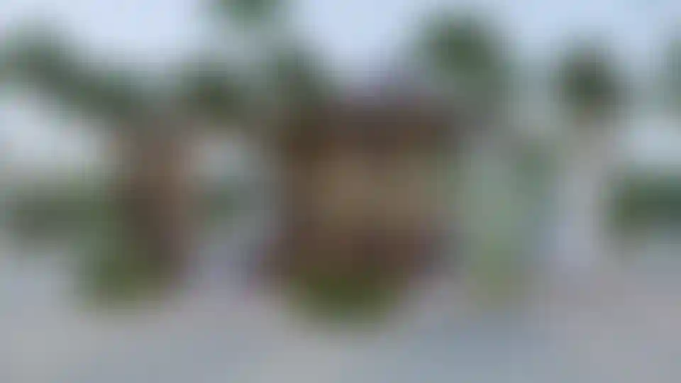 image for main block