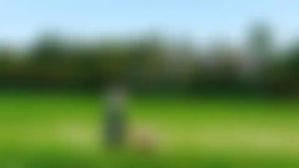 image for main block