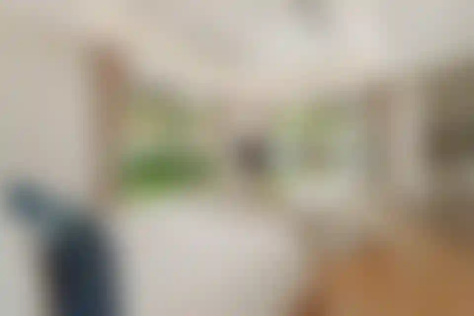 image for main block