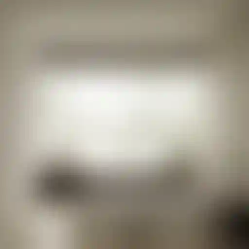 image for main block