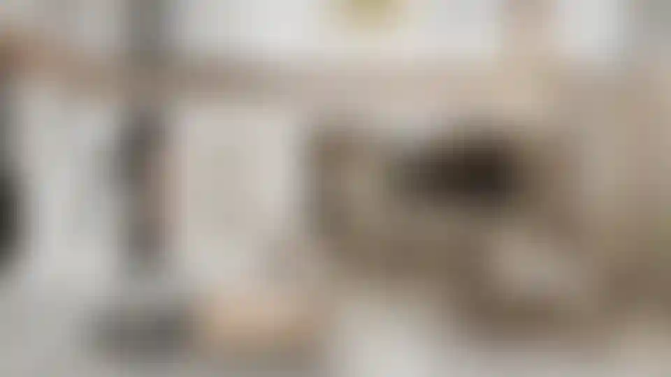 image for main block