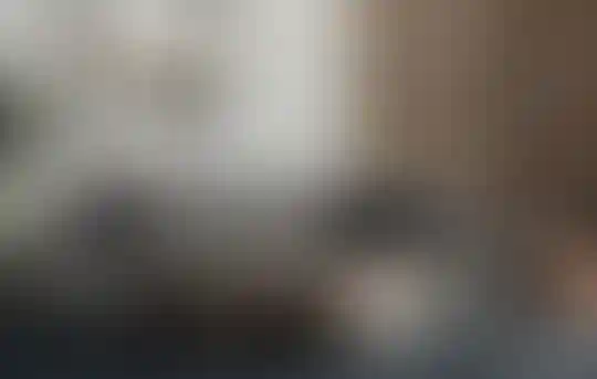 image for main block