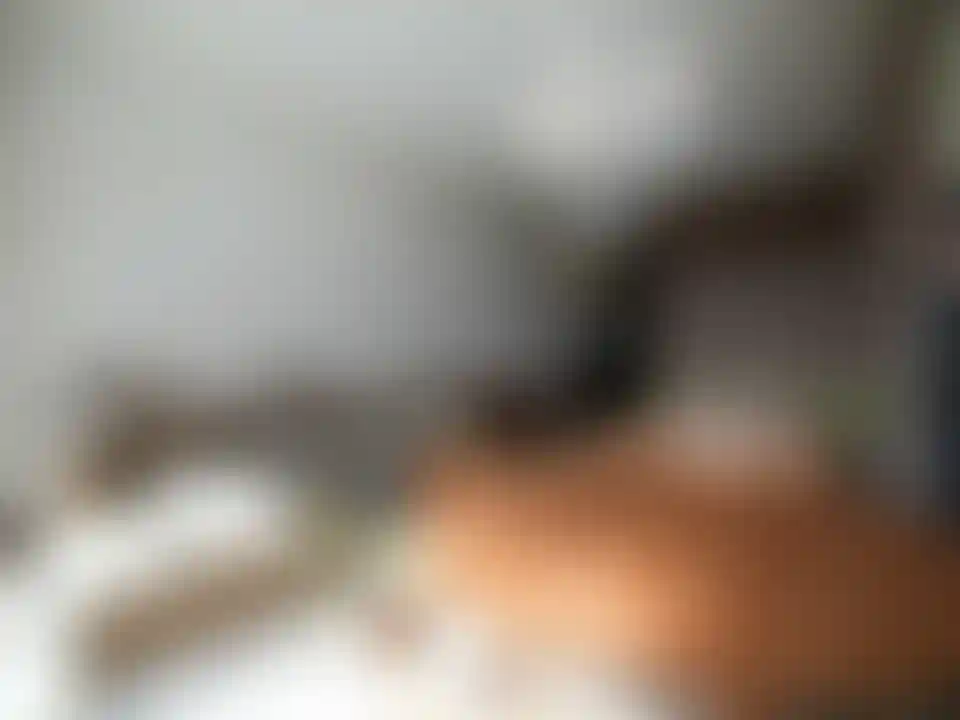 image for main block