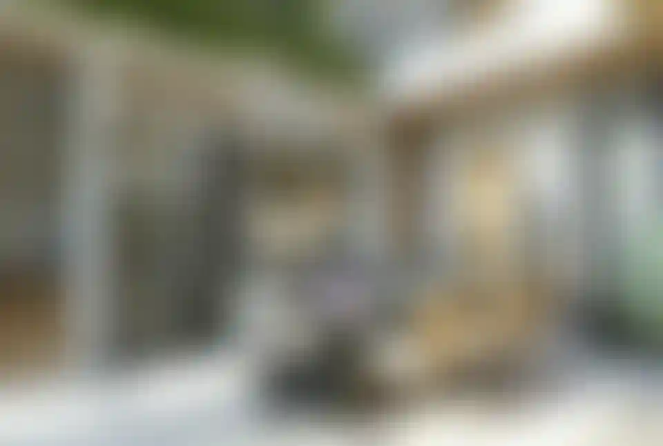 image for main block