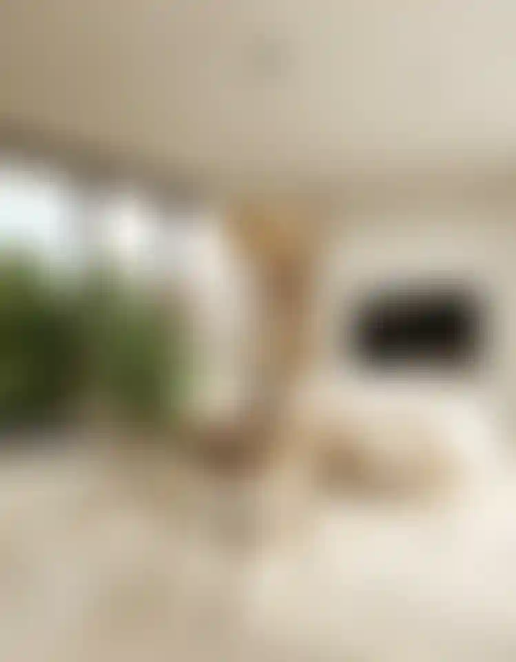 image for main block