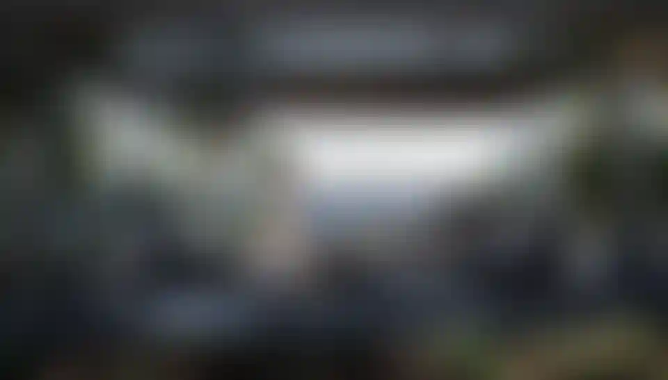 image for main block