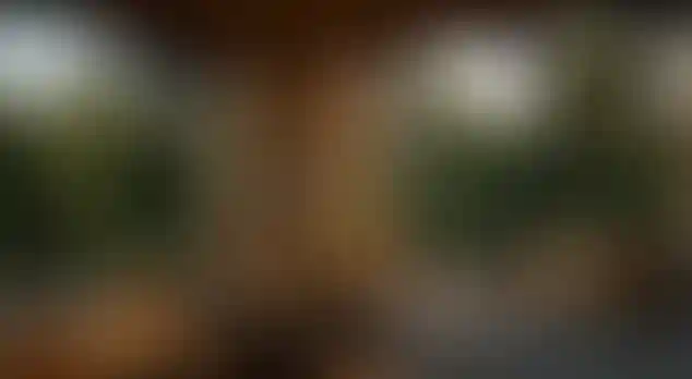 image for main block