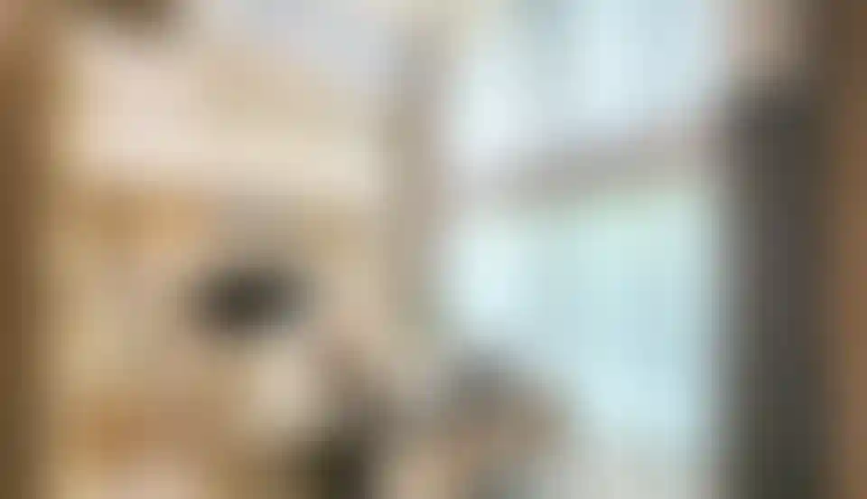 image for main block