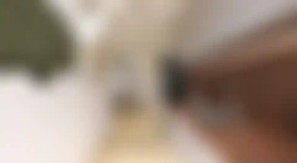 image for main block