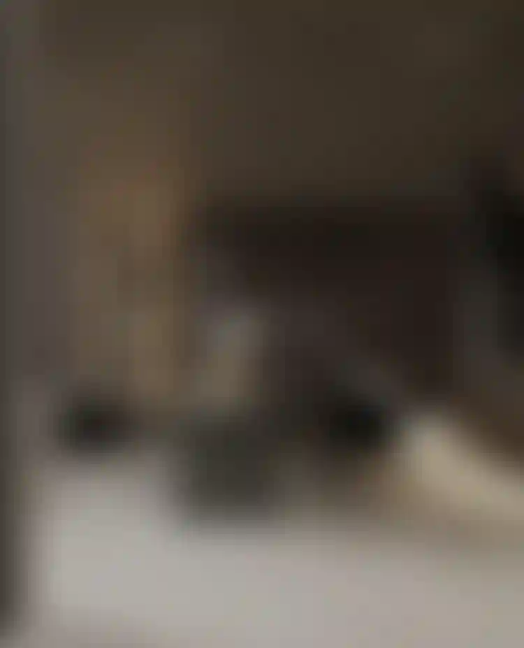 image for main block