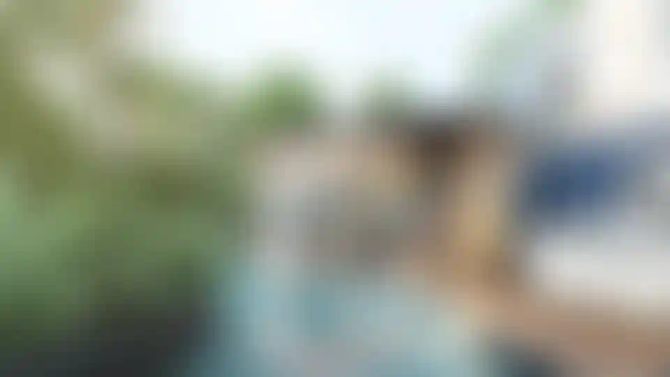 image for main block