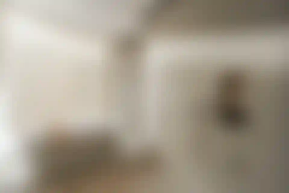 image for main block