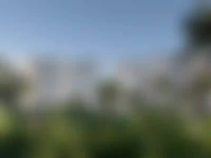 image for main block