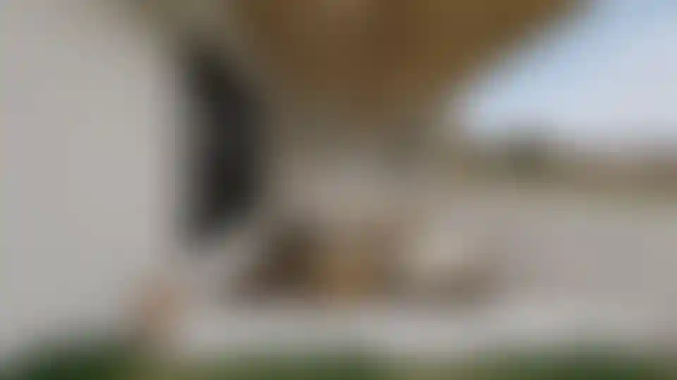 image for main block