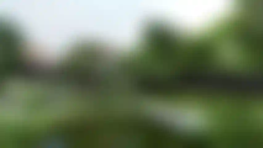 image for main block