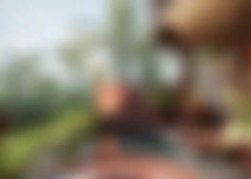 image for main block