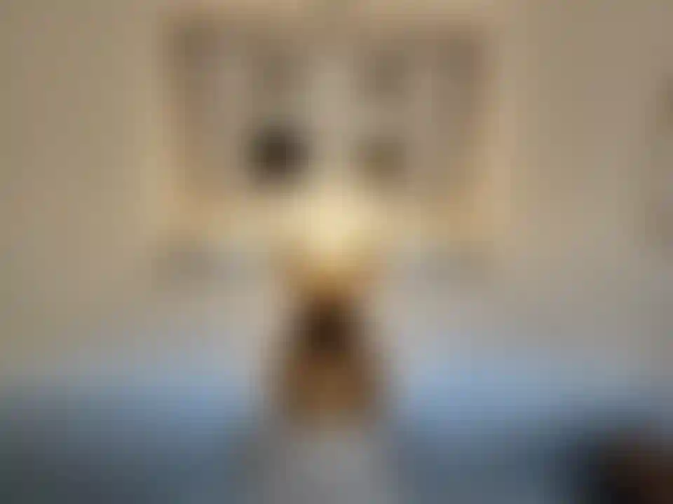 image for main block