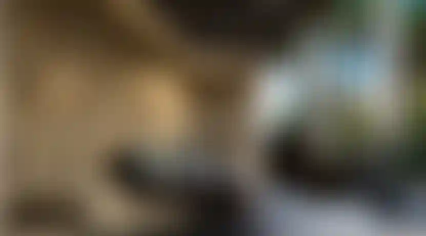 image for main block