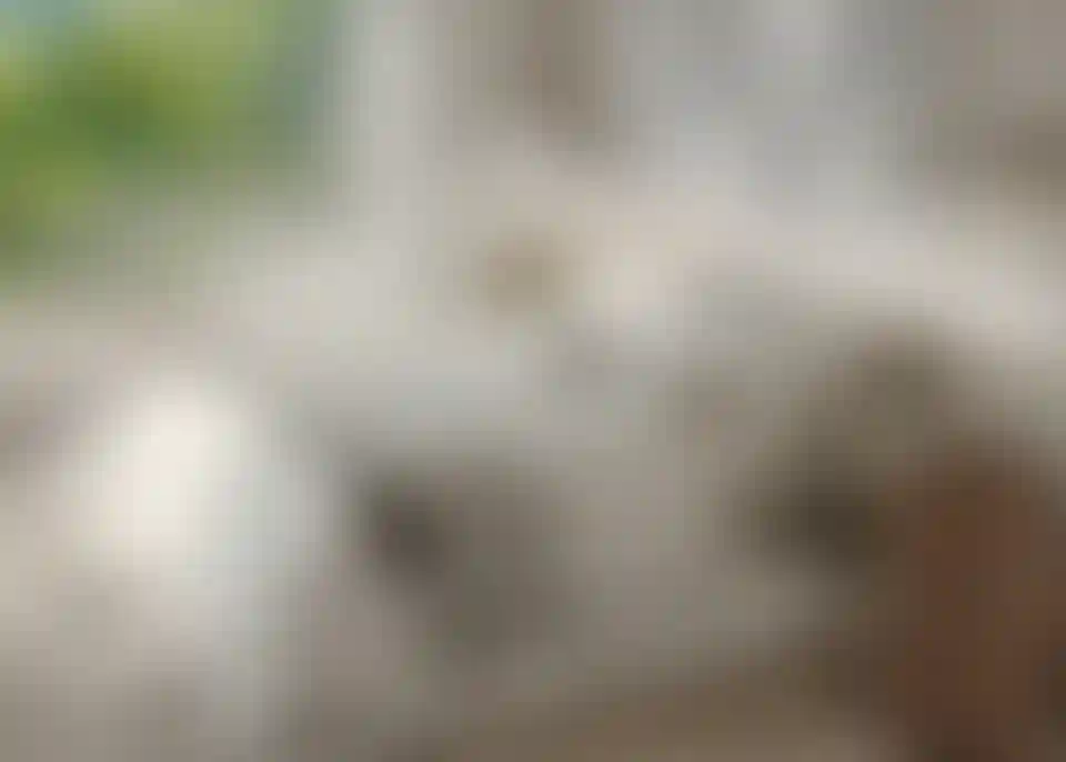 image for main block