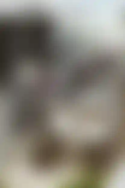 image for main block