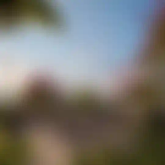 image for main block