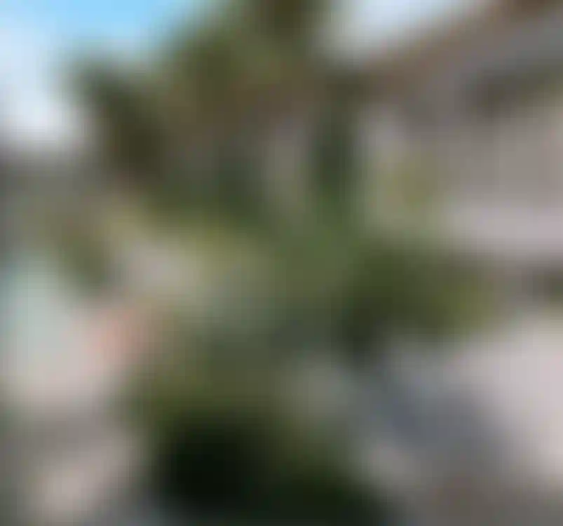 image for main block