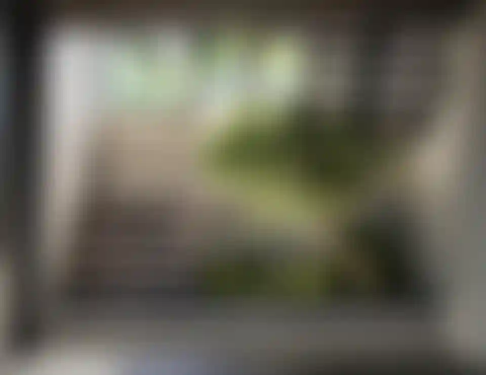 image for main block