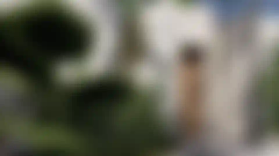 image for main block