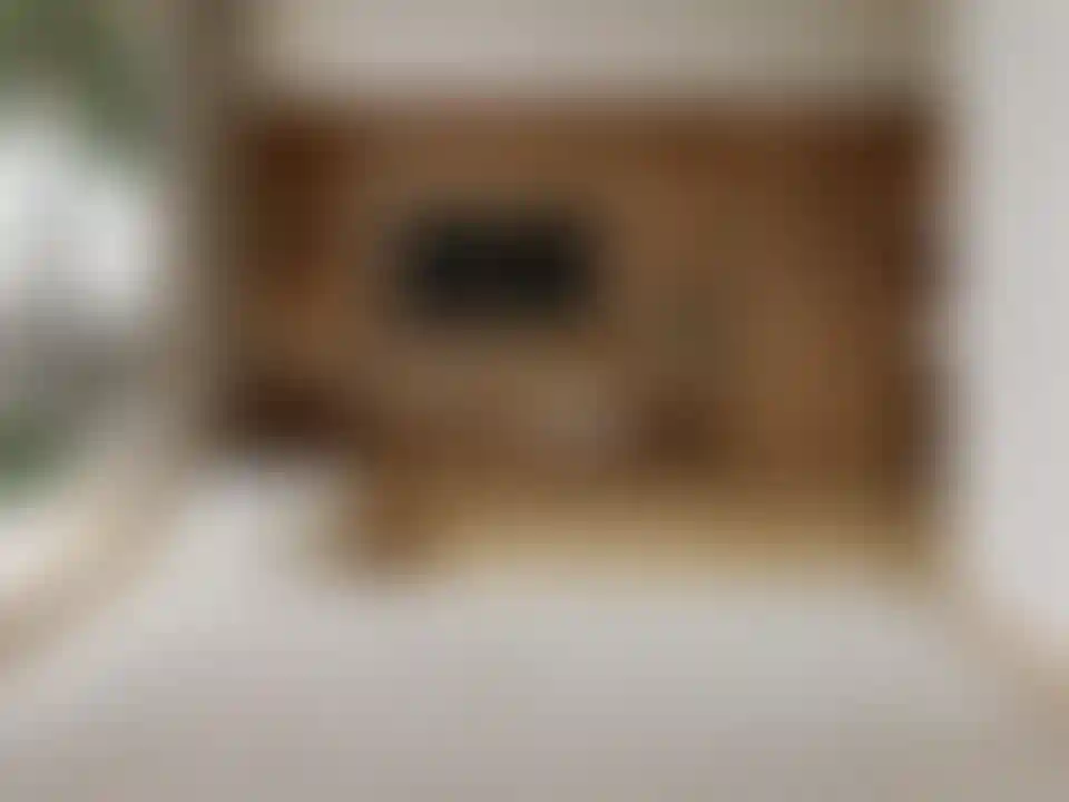 image for main block