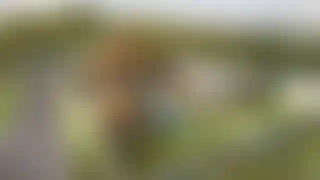 image for main block