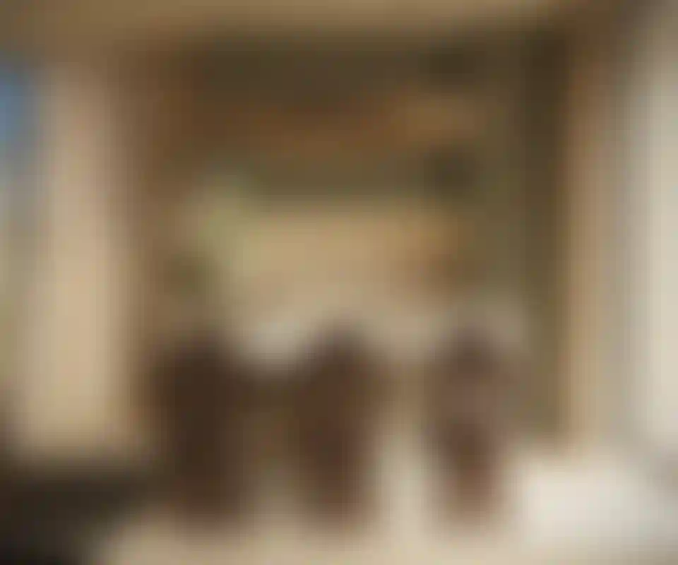 image for main block