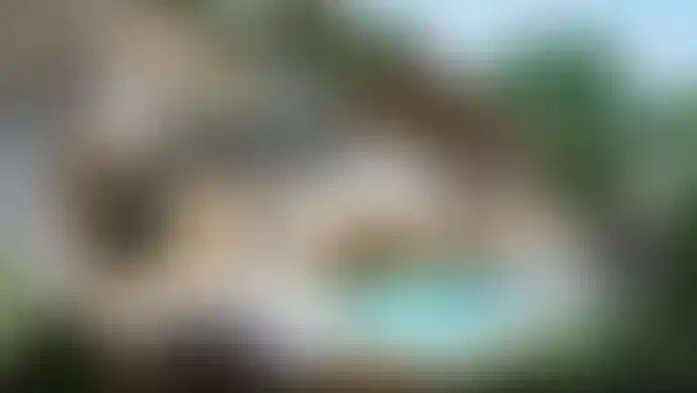 image for main block